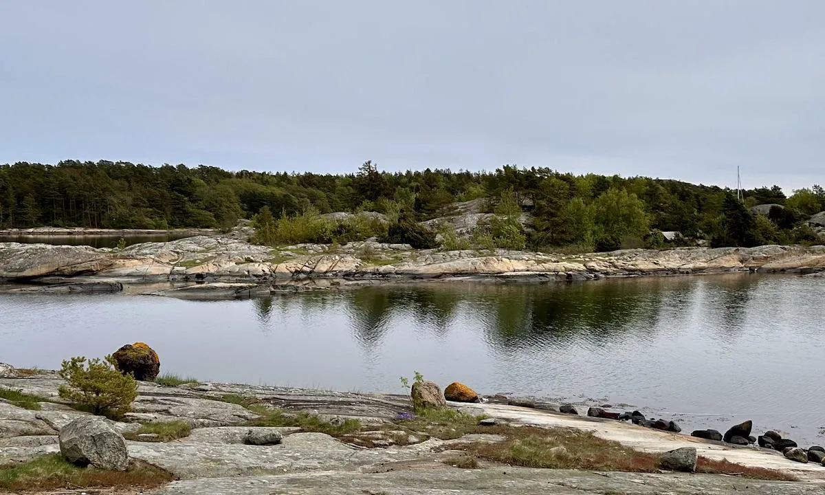Hui - Eneboeren: {"base": "no", "no": "Sett mot \u00f8st. Toalett i det lille bygget litt mot s\u00f8r. Visstnok s\u00f8ppel ogs\u00e5, men stengt n\u00e5 i mai. Bare ankring for sm\u00e5b\u00e5ter p\u00e5 denne siden. St\u00f8rre b\u00e5ter fra nord og videre s\u00f8rover p\u00e5 \u00f8stsiden av \u00f8ya. Mange muligheter.", "se": "Sett mot \u00f6st. Toalett i den lilla byggnaden lite mot s\u00f6der. Sopor ocks\u00e5, men st\u00e4ngt nu i maj. Bara ankring f\u00f6r sm\u00e5b\u00e5tar p\u00e5 denna sida. St\u00f6rre b\u00e5tar fr\u00e5n norr och vidare s\u00f6derut p\u00e5 \u00f6stsidan av \u00f6n. M\u00e5nga m\u00f6jligheter.", "en": "Facing east. Toilet in the small building a bit to the south. Supposedly trash disposal as well, but closed now in May. Only anchoring for small boats on this side. Larger boats from the north and further south on the east side of the island. Many possibilities.", "da": "Udsigt mod \u00f8st. Toilet i den lille bygning lidt mod syd. Tilsyneladende affald ogs\u00e5, men lukket nu i maj. Kun ankring for mindre b\u00e5de p\u00e5 denne side. St\u00f8rre b\u00e5de skal komme fra nord og videre sydp\u00e5 p\u00e5 \u00f8stsiden af \u00f8en. Mange muligheder."}
