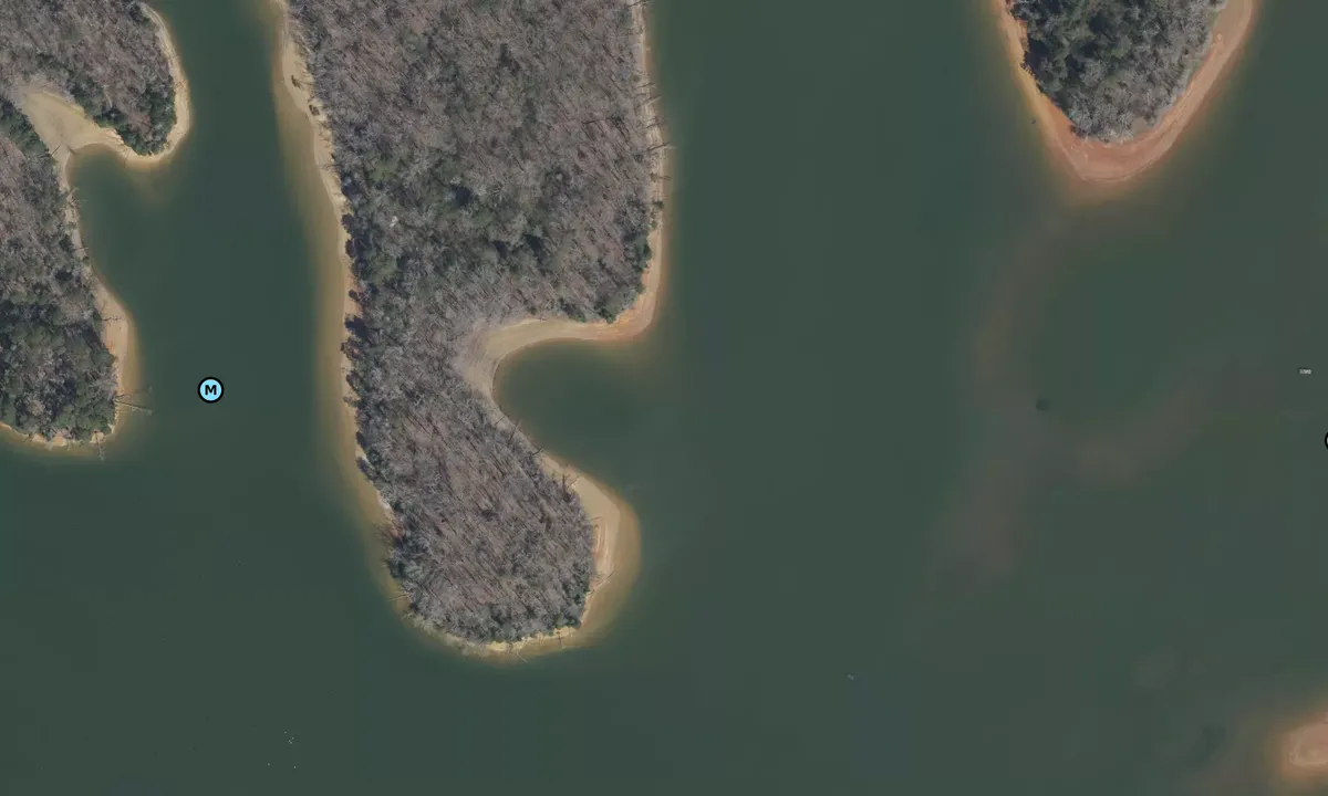 Satelite image of Huss Lowes Slough