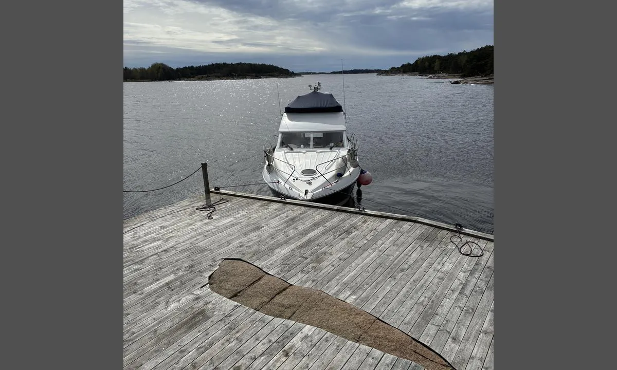 Hvaløy