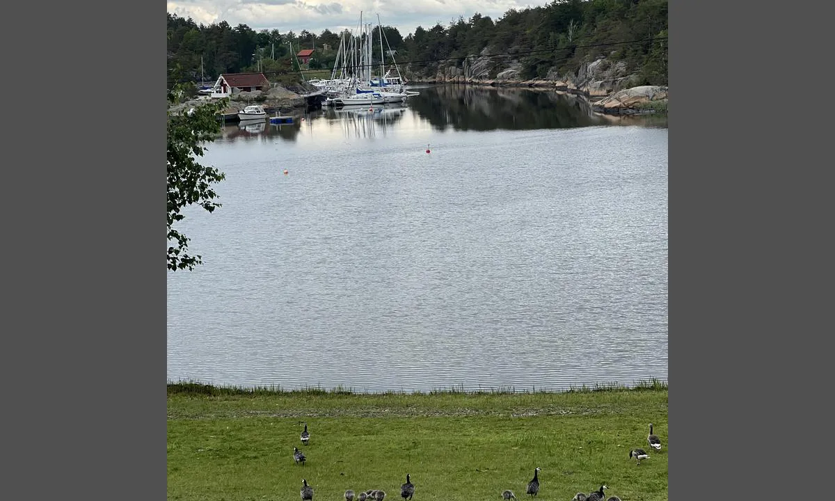 Hvalstrand Marina