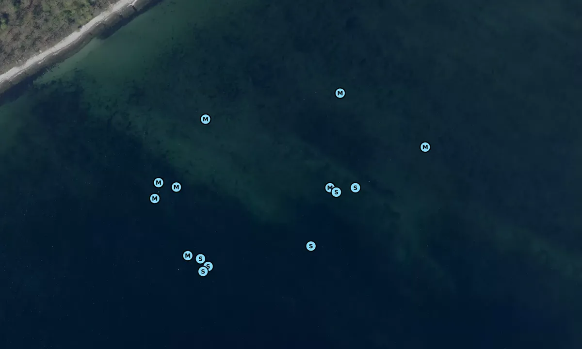 Satelite image of Hverringe Klint bouy
