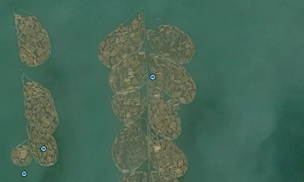 Satelite image of Icy Bay