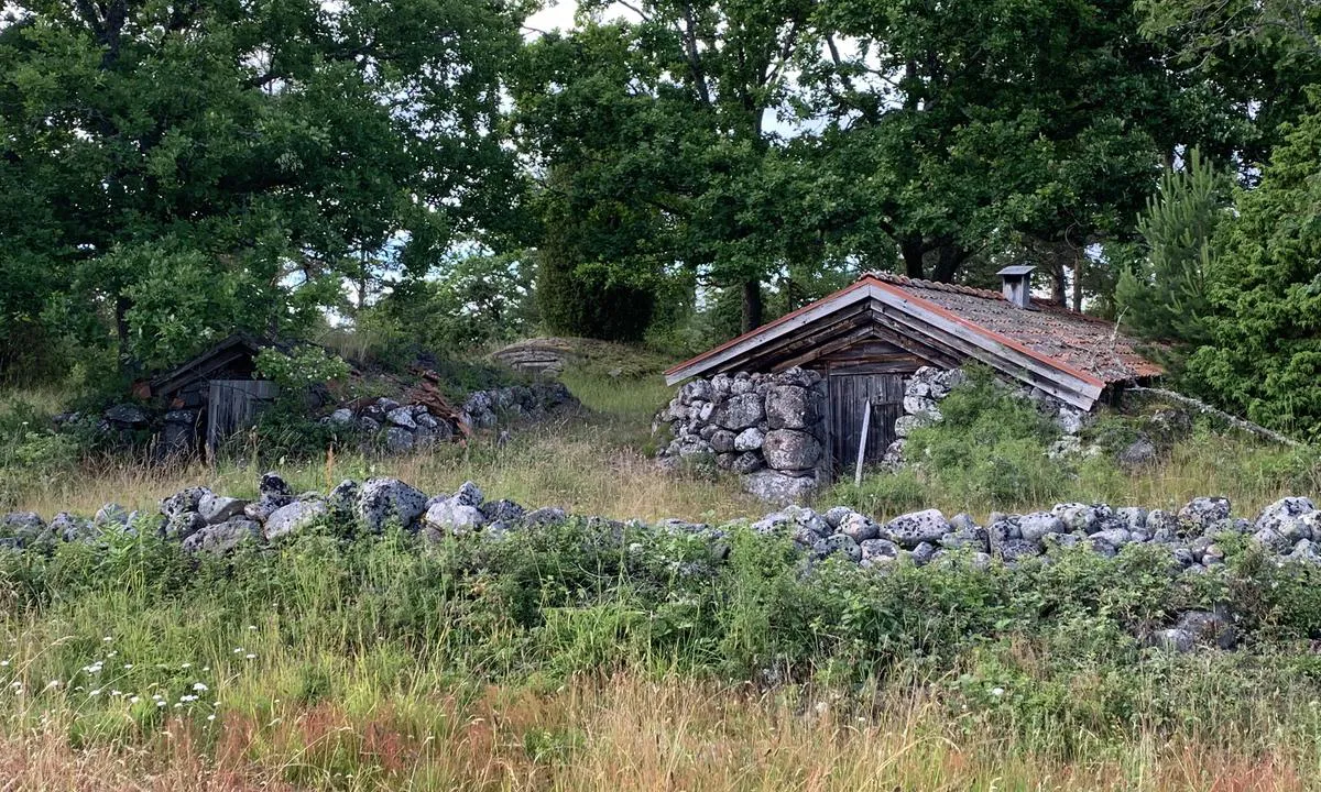 Idö