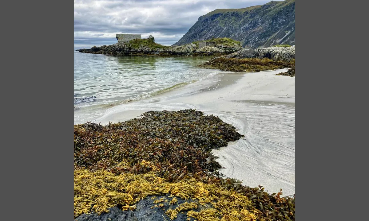 Iglandsvik: {"base": "no", "no": "Grotlesanden", "se": "Grotlesand", "en": "Grotlesanden", "da": "Grotlesanden"}