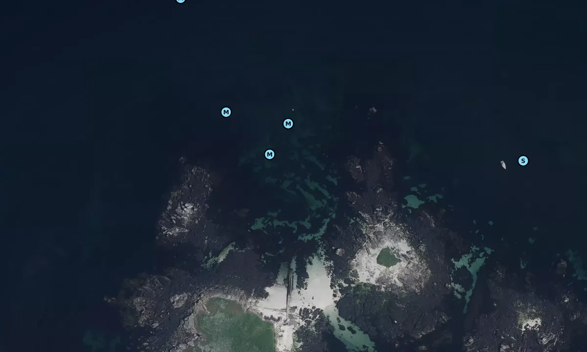 Satelite image of île au Moutons