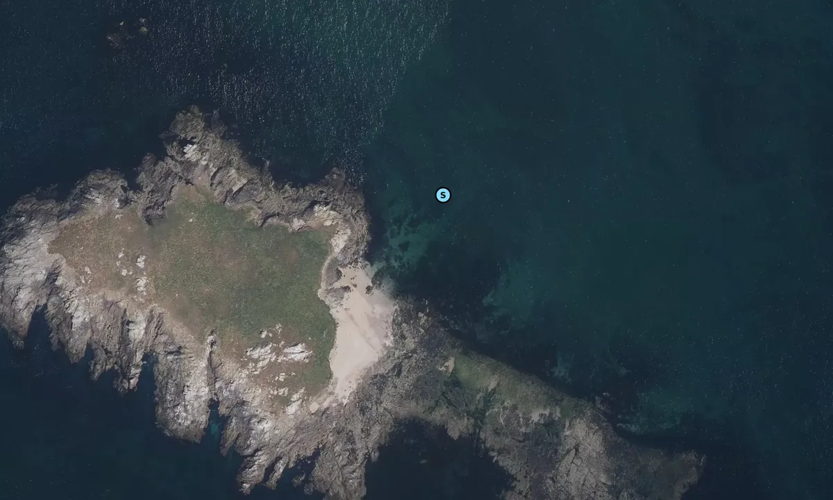 Satelite image of Île aux Chevaux