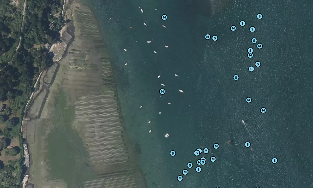 Satelite image of Île aux moines