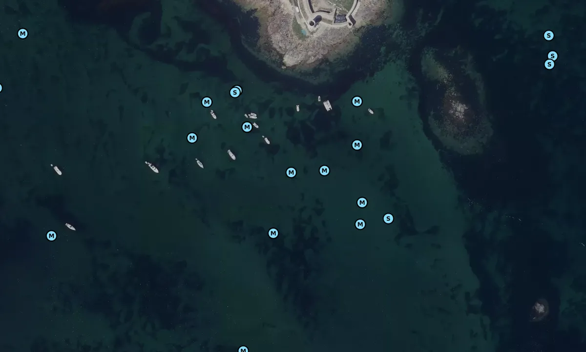 Satelite image of Ile Cigogne