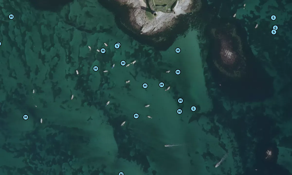 Satelite image of Ile Cigogne