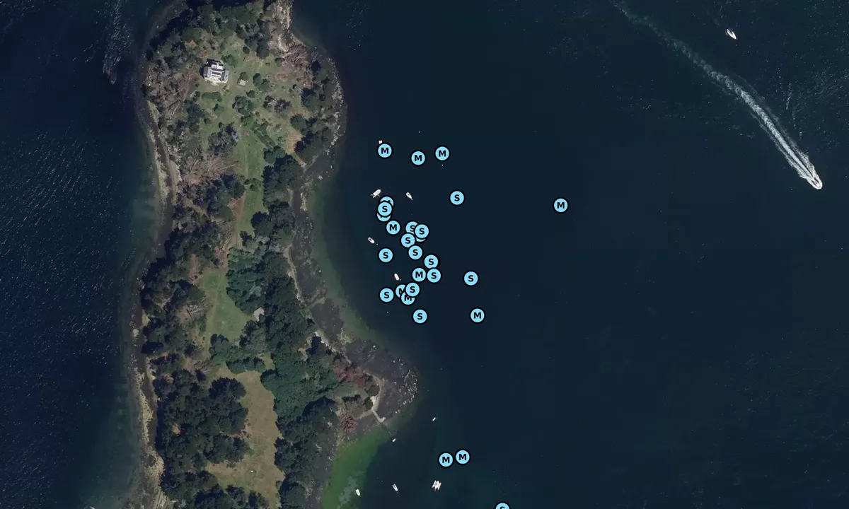 Satelite image of Île de la Jument