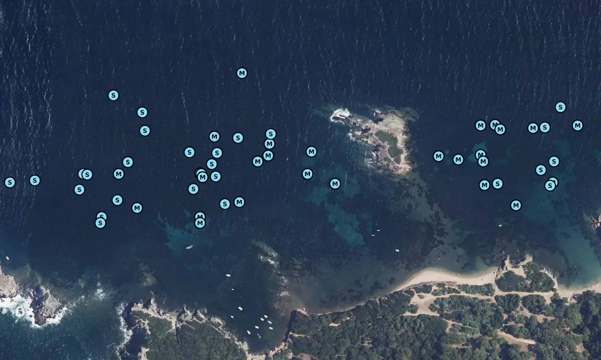 Satelite image of Île de la Redonne