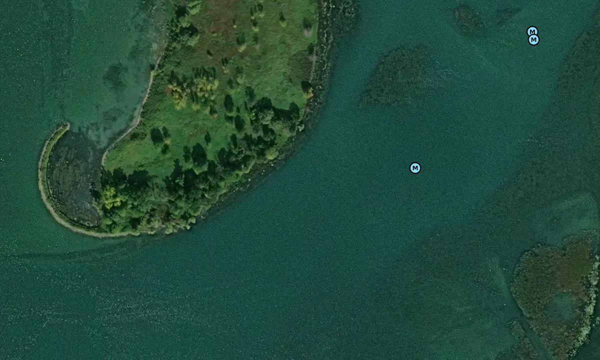 Satelite image of Ile des Faubert