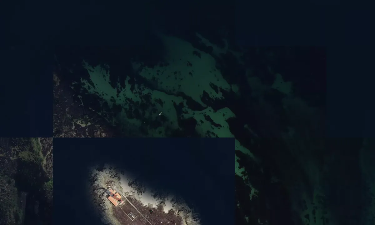 Flyfoto av Île du Pilier 1