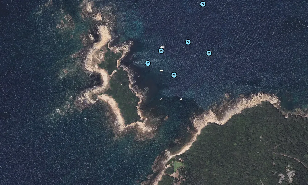 Satelite image of Île Piana