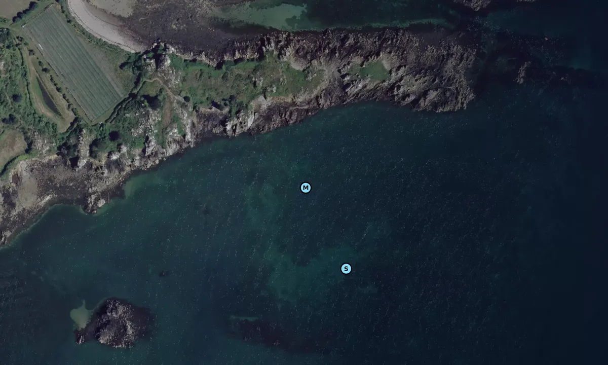 Satelite image of Île Saint-Riom (Sud)