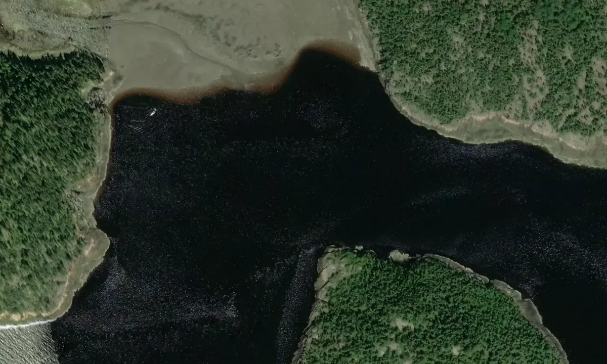 Satelite image of Ile St Bart