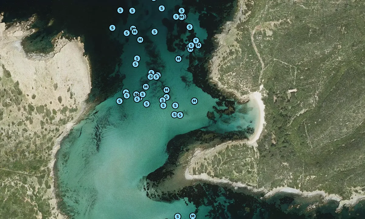 Satelite image of Illa den Colom