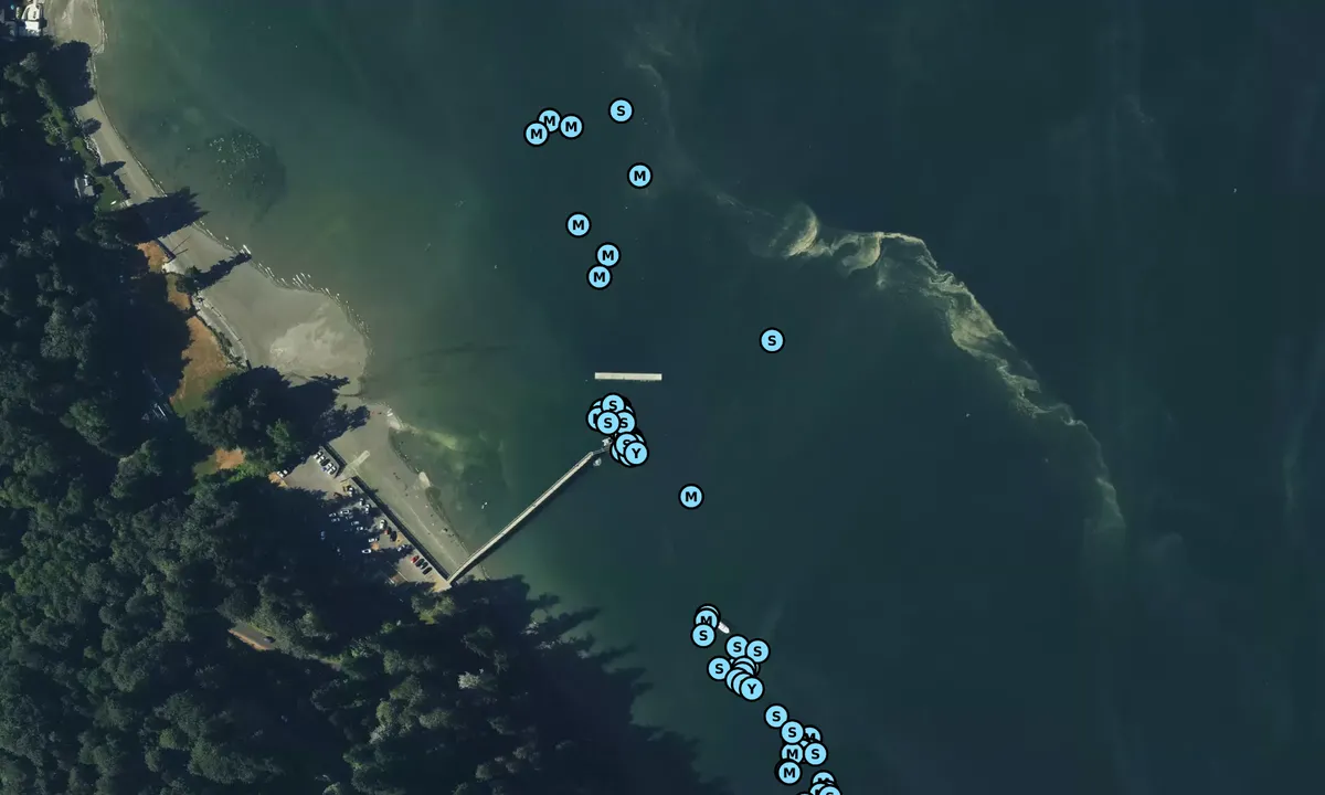 Satelite image of Illahee State Park
