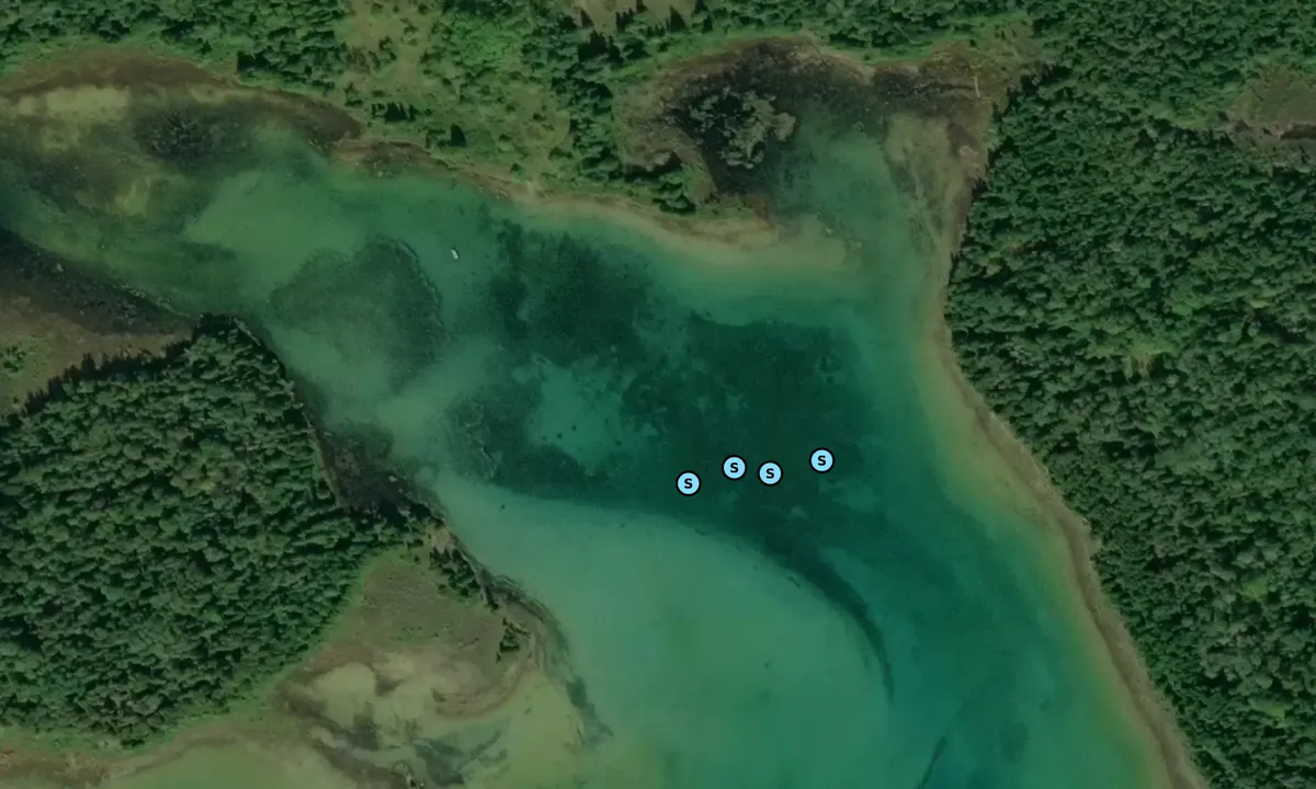 Satelite image of Indian Harbor 1