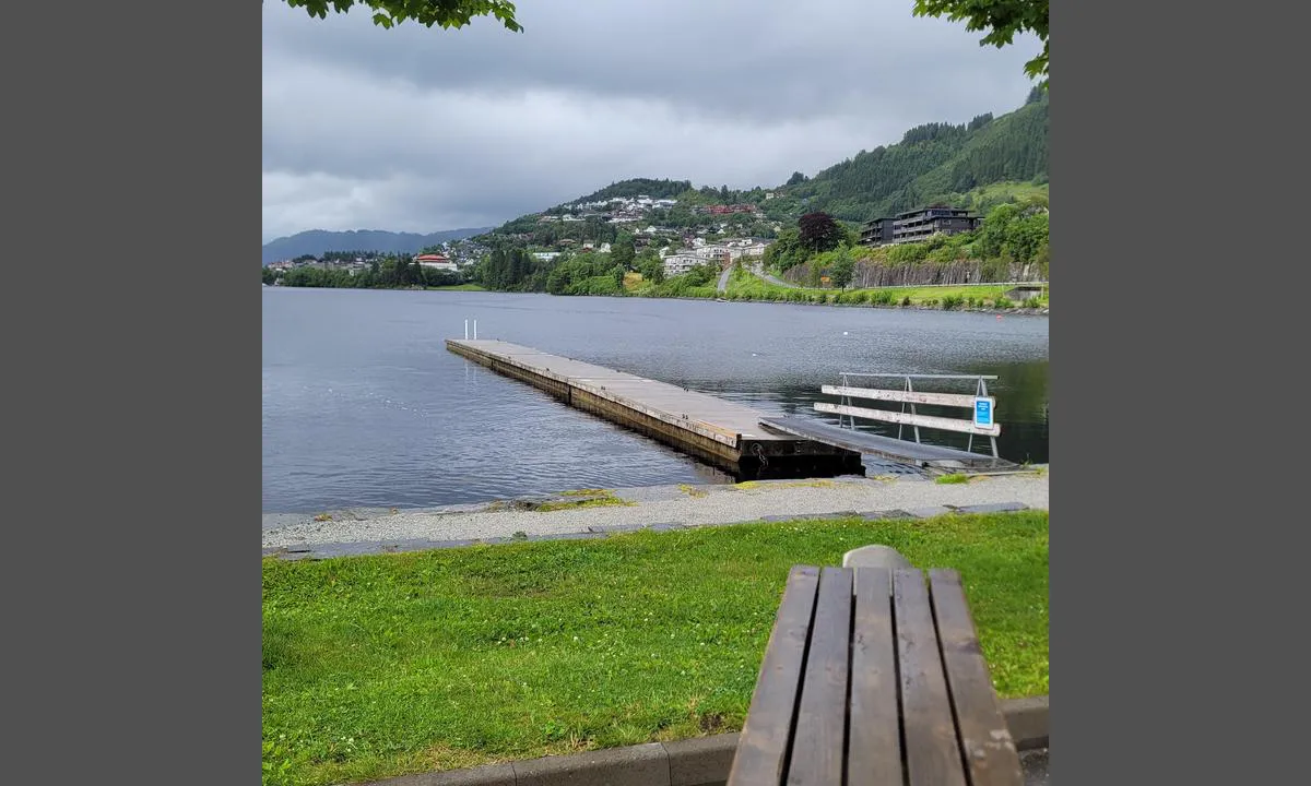 Indre Arna
