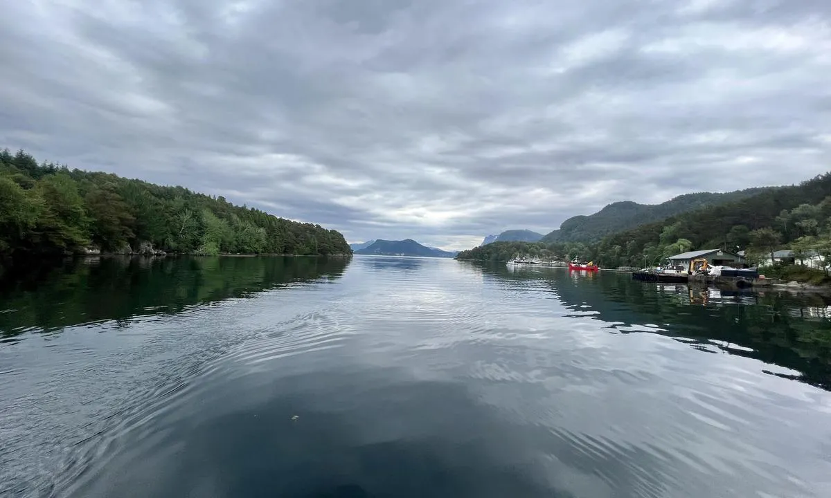 Indre Flokenesvågen: Bay seen from half wsy in