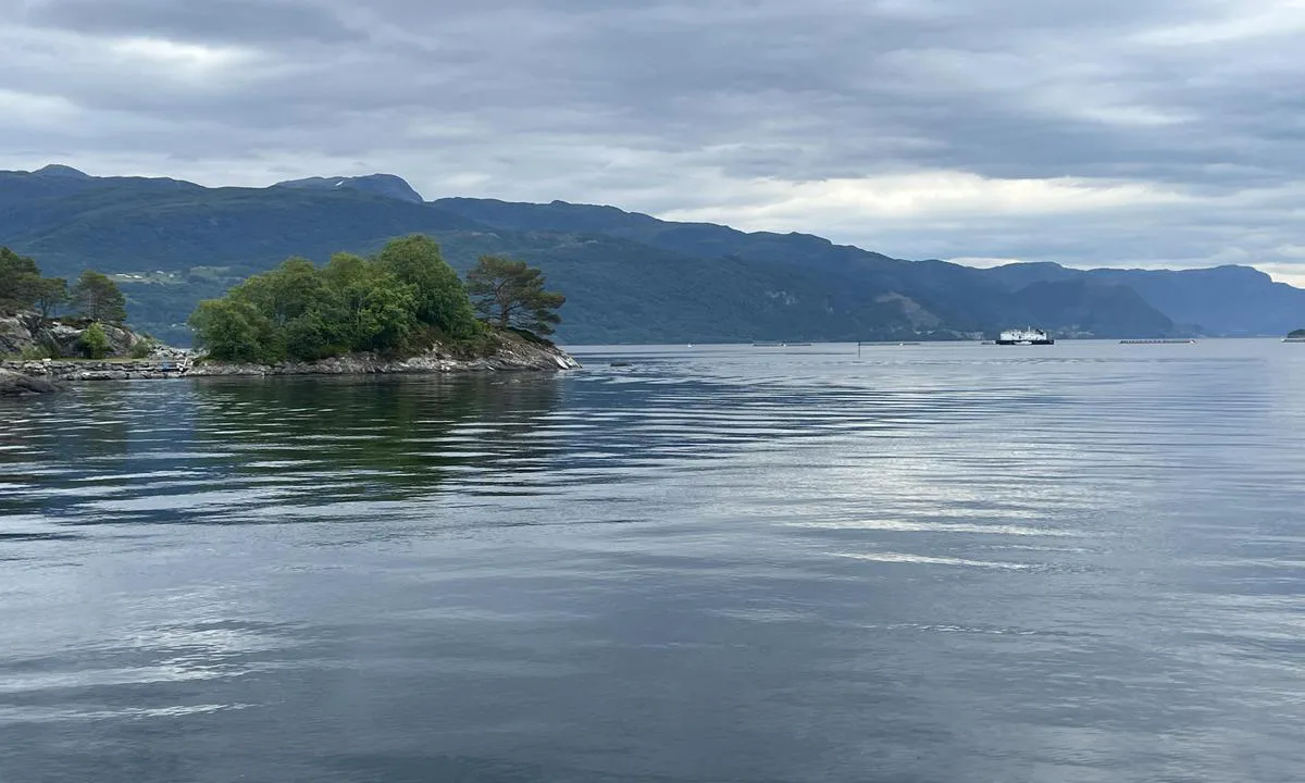 Indre Flokenesvågen