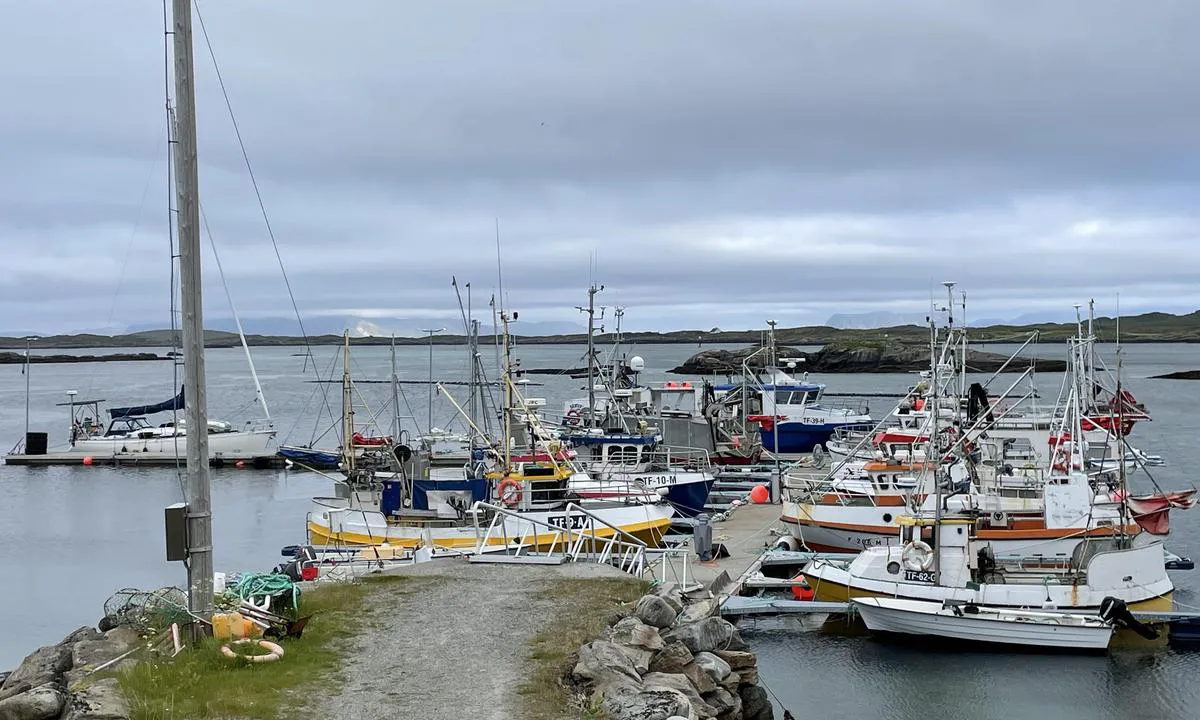 Ingøy: {"base": "no", "no": "Gjesteplasser ytterst p\u00e5 flytebrygge!", "se": "G\u00e4stplatser ytterst vid flytbrygga!", "en": "Guest berths at the outermost part of the floating dock!", "da": "G\u00e6stepladser yderst p\u00e5 flydebro!"}