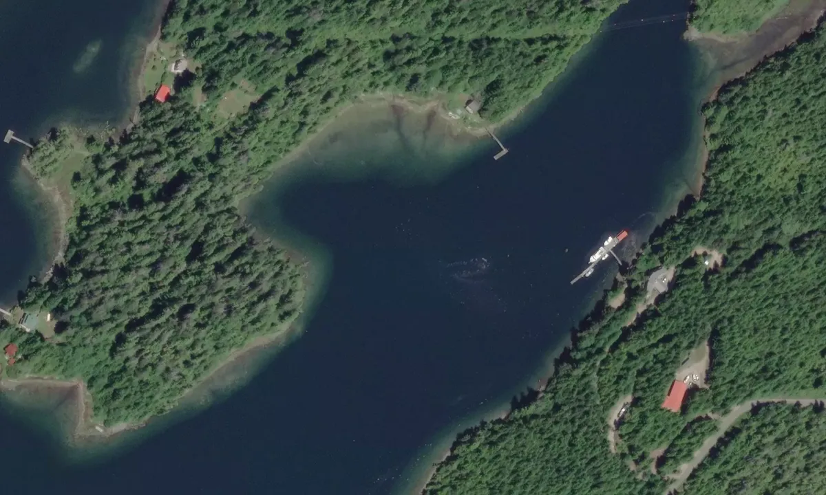 Flyfoto av Inner Bamfield Inlet