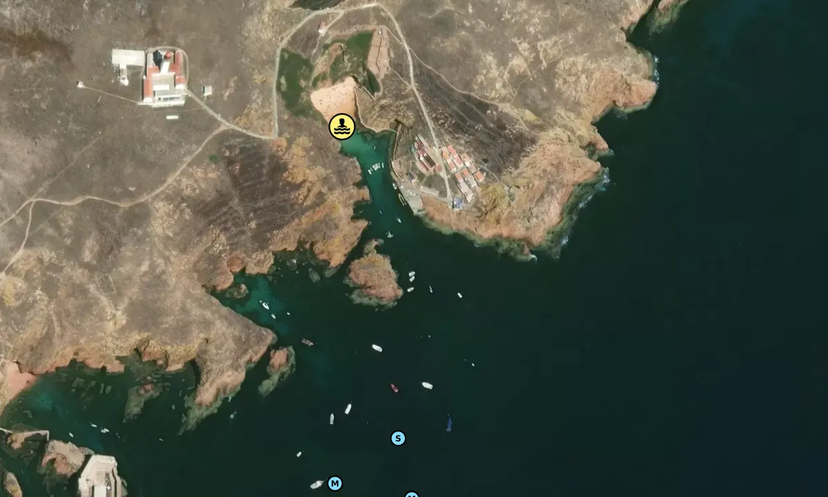 Satelite image of Isla Berlengas