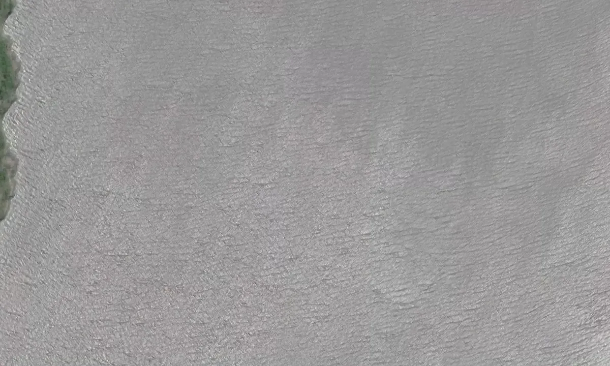 Satelite image of Isla de los Estados