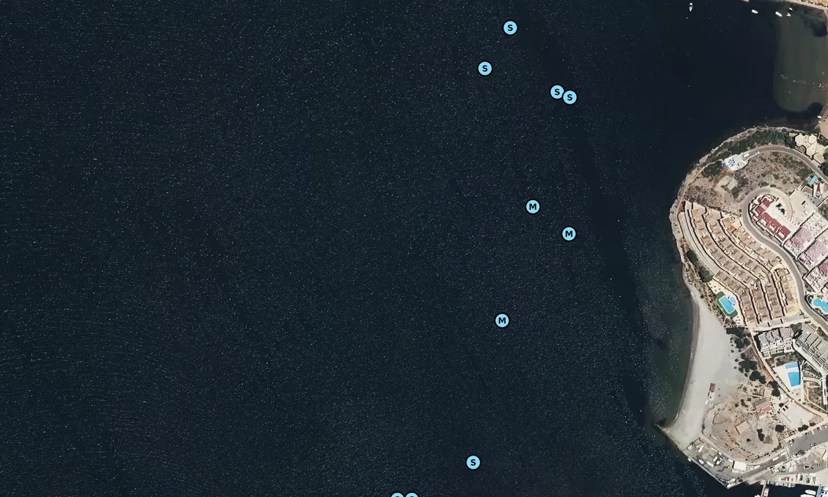 Satelite image of Isla del Cierva