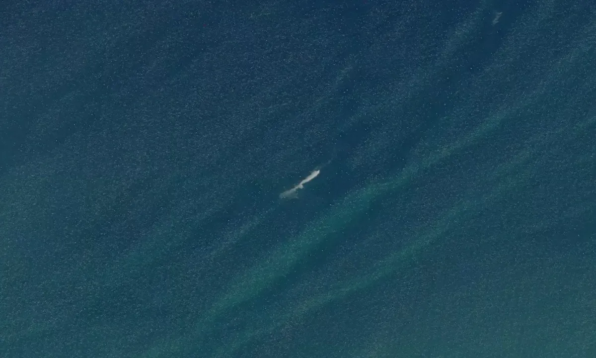 Satelite image of Isla El Pelade