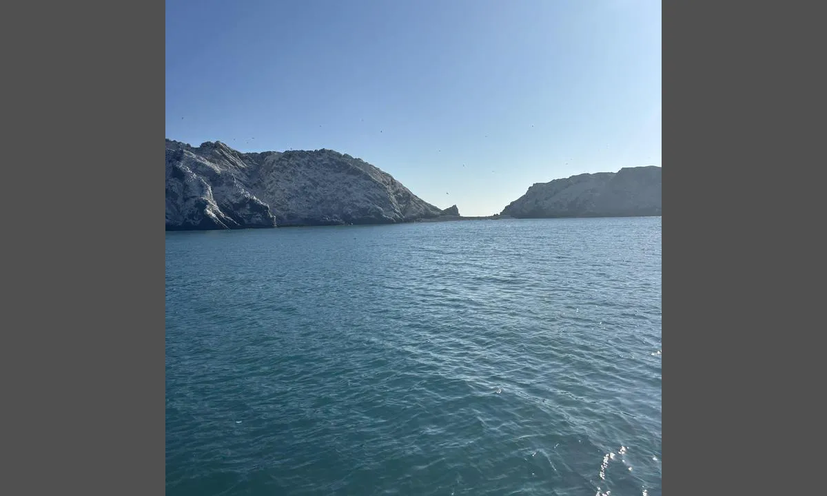 Isla Foca: {"base": "no", "no": "Bilde tatt fra der vi er for anker mot stedet vi gikk p\u00e5 land", "se": "Bild tagen fr\u00e5n d\u00e4r vi ligger f\u00f6r ankar mot platsen vi gick i land", "en": "Picture taken from where we are anchored towards the place we went ashore", "da": "Billede taget fra hvor vi er for anker mod stedet, vi gik i land", "fr": "Photo prise de l'endroit o\u00f9 nous jetons l'ancre en direction du lieu o\u00f9 nous avons d\u00e9barqu\u00e9", "de": "Bild aufgenommen von unserem Ankerplatz in Richtung der Landestelle", "es": "Imagen tomada desde donde estamos anclados hacia el lugar donde desembarcamos", "it": "Immagine scattata dal punto in cui siamo all'ancora verso il luogo in cui siamo sbarcati", "pt": "Imagem tirada de onde estamos ancorados em dire\u00e7\u00e3o ao local onde desembarcamos", "nl": "Foto genomen vanaf onze ankerplaats richting de plek waar we zijn geland", "pl": "<img src=\\", "uk": "\u0417\u043e\u0431\u0440\u0430\u0436\u0435\u043d\u043d\u044f \u0437\u0440\u043e\u0431\u043b\u0435\u043d\u043e \u0437 \u0442\u043e\u0433\u043e \u043c\u0456\u0441\u0446\u044f, \u0434\u0435 \u043c\u0438 \u0441\u0442\u043e\u0457\u043c\u043e \u043d\u0430 \u044f\u043a\u043e\u0440\u0456, \u0443 \u0431\u0456\u043a \u043c\u0456\u0441\u0446\u044f, \u0434\u0435 \u043c\u0438 \u0432\u0438\u0439\u0448\u043b\u0438 \u043d\u0430 \u0431\u0435\u0440\u0435\u0433", "ro": "Imagine luat\u0103 de acolo unde suntem ancora\u021bi c\u0103tre locul unde am debarcat", "tr": "Demirledi\u011fimiz yerden karaya \u00e7\u0131kt\u0131\u011f\u0131m\u0131z yere do\u011fru \u00e7ekilmi\u015f foto\u011fraf", "el": "\u0395\u03b9\u03ba\u03cc\u03bd\u03b1 \u03c4\u03c1\u03b1\u03b2\u03b7\u03b3\u03bc\u03ad\u03bd\u03b7 \u03b1\u03c0\u03cc \u03c4\u03bf \u03c3\u03b7\u03bc\u03b5\u03af\u03bf \u03cc\u03c0\u03bf\u03c5 \u03b1\u03b3\u03ba\u03c5\u03c1\u03bf\u03b2\u03bf\u03bb\u03ae\u03c3\u03b1\u03bc\u03b5 \u03c0\u03c1\u03bf\u03c2 \u03c4\u03b7\u03bd \u03c4\u03bf\u03c0\u03bf\u03b8\u03b5\u03c3\u03af\u03b1 \u03cc\u03c0\u03bf\u03c5 \u03b1\u03c0\u03bf\u03b2\u03b9\u03b2\u03b1\u03c3\u03c4\u03ae\u03ba\u03b1\u03bc\u03b5", "cs": "Obr\u00e1zek po\u0159\u00edzen\u00fd z m\u00edsta, kde jsme kotvili, sm\u011brem k m\u00edstu, kde jsme vystoupili na b\u0159eh", "hu": "K\u00e9p k\u00e9sz\u00fcl arr\u00f3l, hogy horgonyt vet\u00fcnk ann\u00e1l a helyn\u00e9l, ahol partra sz\u00e1lltunk", "fi": "Kuva otettu ankkuripaikalta kohti paikkaa, jossa nousimme maihin", "bg": "\u0421\u043d\u0438\u043c\u043a\u0430, \u043d\u0430\u043f\u0440\u0430\u0432\u0435\u043d\u0430 \u043e\u0442 \u043c\u044f\u0441\u0442\u043e\u0442\u043e, \u043a\u044a\u0434\u0435\u0442\u043e \u0441\u043c\u0435 \u043d\u0430 \u043a\u043e\u0442\u0432\u0430, \u043a\u044a\u043c \u043c\u044f\u0441\u0442\u043e\u0442\u043e, \u043d\u0430 \u043a\u043e\u0435\u0442\u043e \u0430\u043a\u043e\u0441\u0442\u0438\u0440\u0430\u0445\u043c\u0435 \u043d\u0430 \u0431\u0440\u0435\u0433\u0430", "sr": "Slika snimljena sa mesta gde smo usidreni prema mestu gde smo iza\u0161li na kopno", "et": "Pilt tehtud ankrus paigalt suunaga kohta, kus me maabusime", "lv": "Att\u0113ls uz\u0146emts no vietas, kur m\u0113s esam priek\u0161\u0101st\u0101vokl\u012b, pret vietu, kur m\u0113s izk\u0101p\u0101m krast\u0101", "lt": "Nuotrauka padaryta ten, kur esame inkaru, prie\u0161 viet\u0105, kur i\u0161lipome \u012f krant\u0105"}