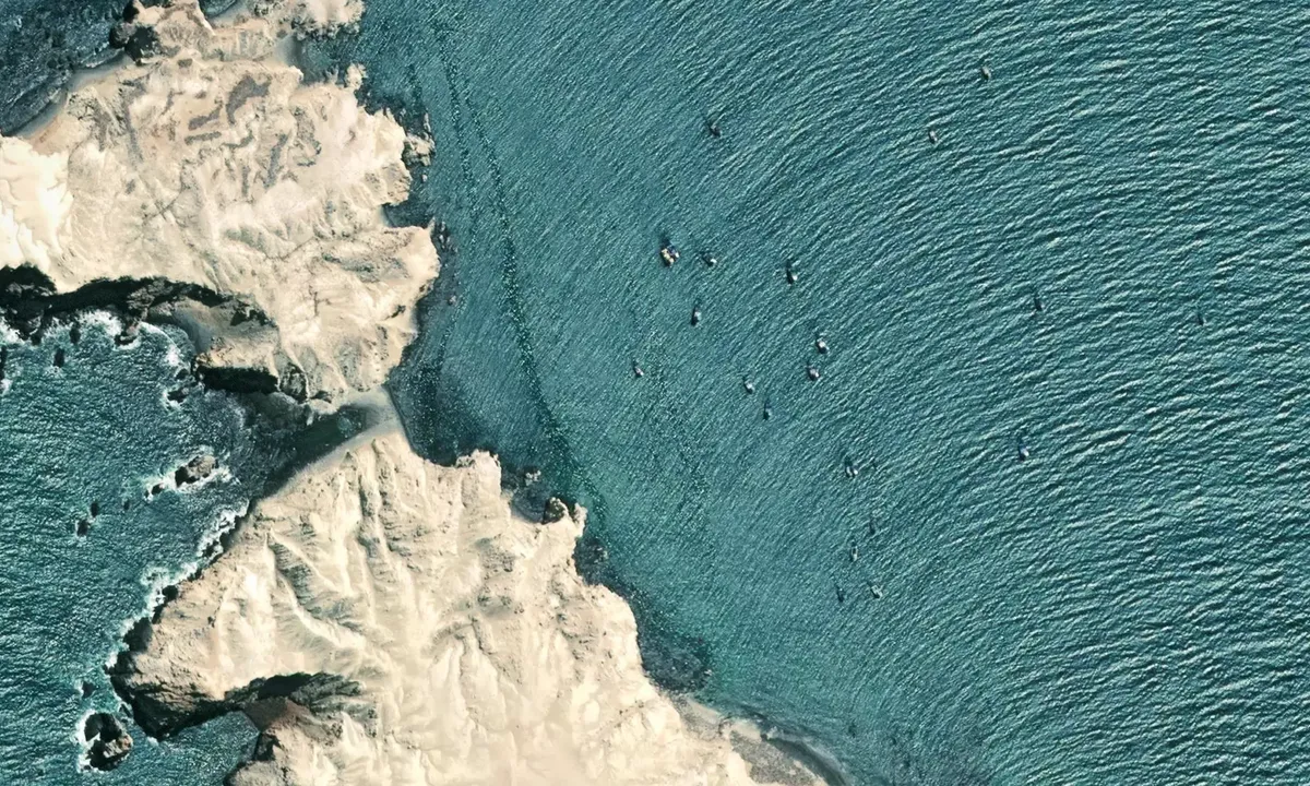 Satelite image of Isla Foca