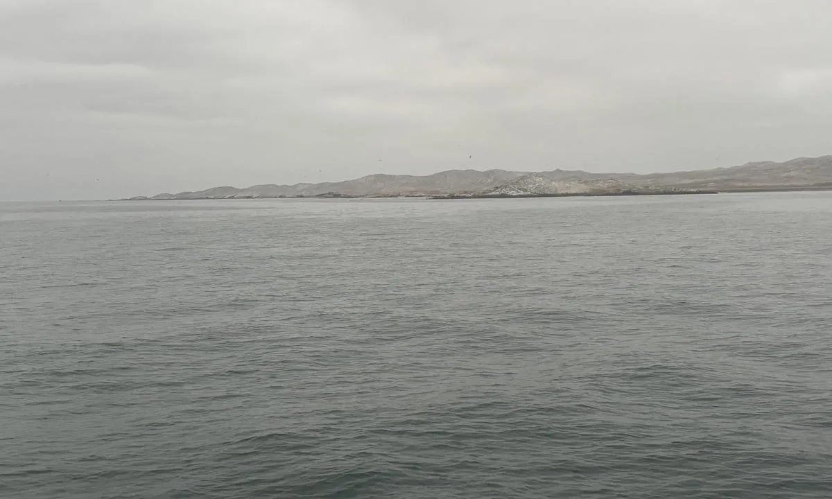 Isla Lobas de Tierra: Øyen