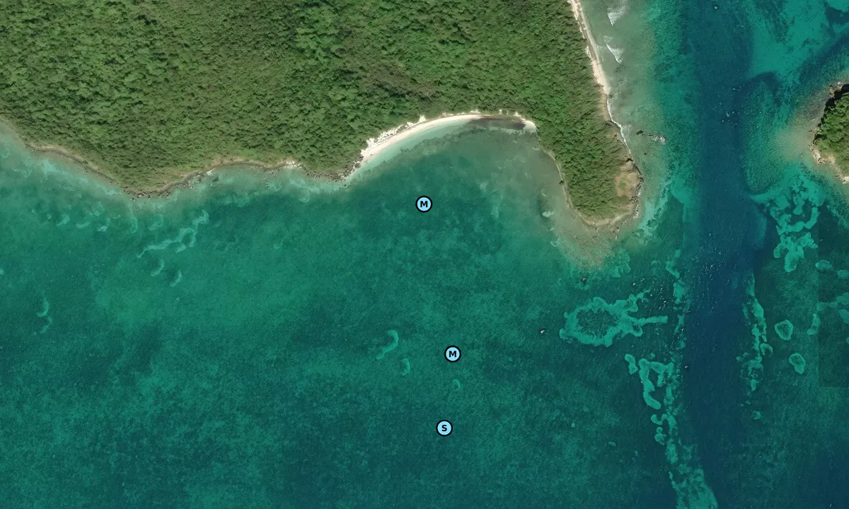 Satelite image of Isla Piñero DRNA buoy
