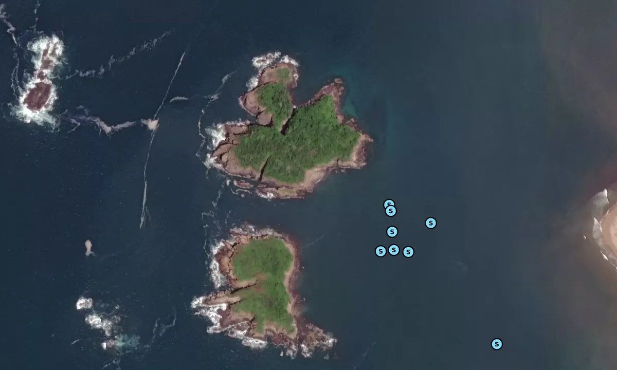 Satelite image of Isla San Austin