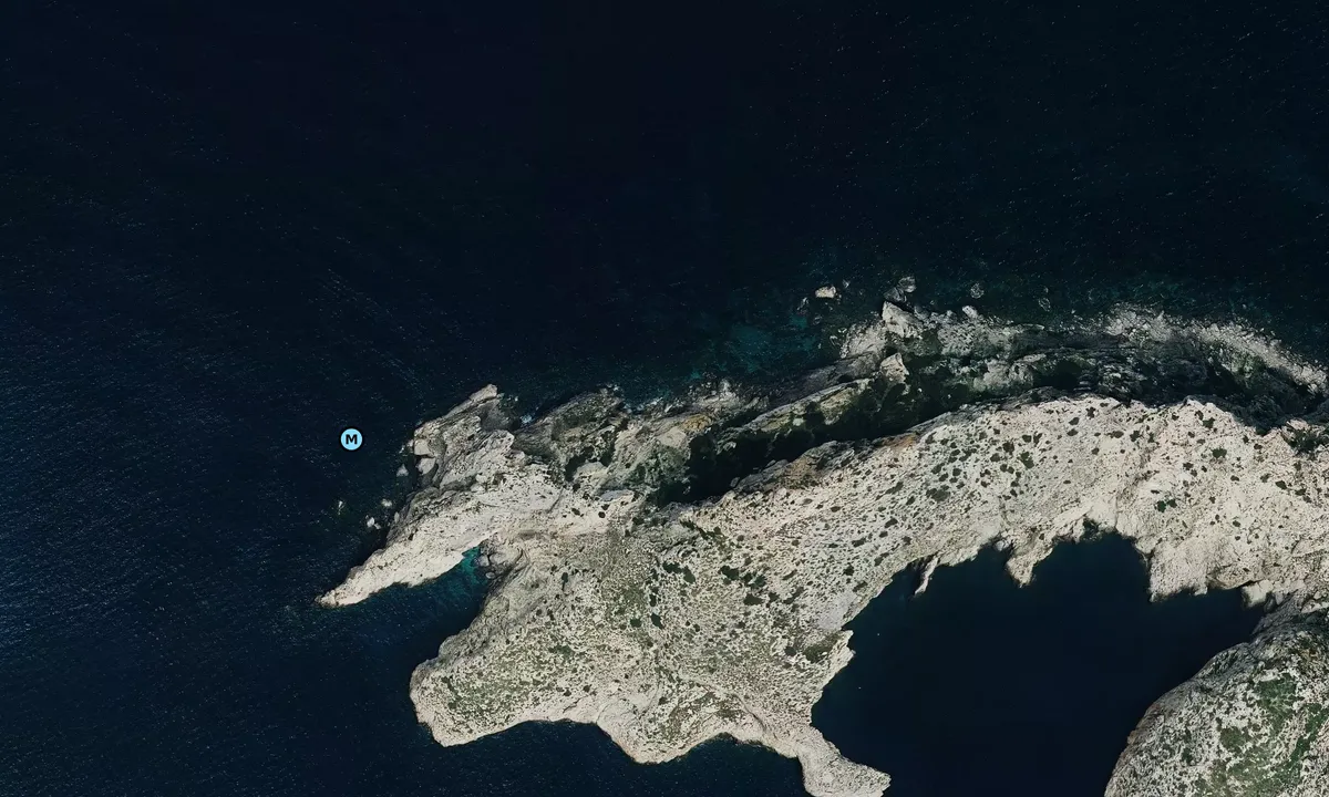 Satelite image of Isla Vedranell