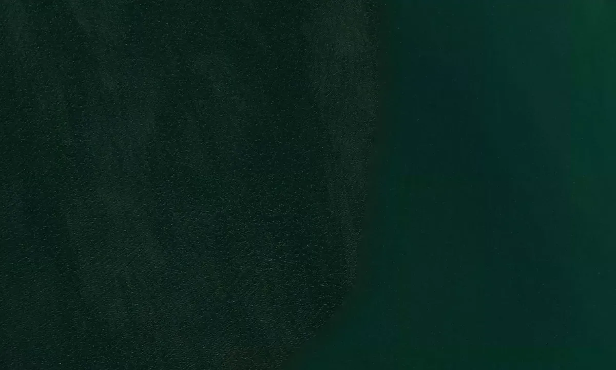 Satelite image of Isla Viveros