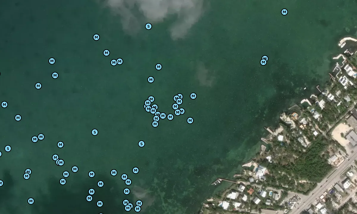Satelite image of Islamorada NE