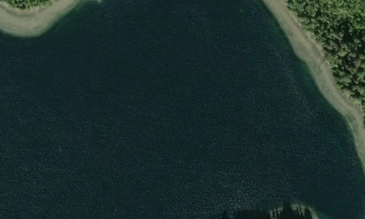 Satelite image of Island Bay - North
