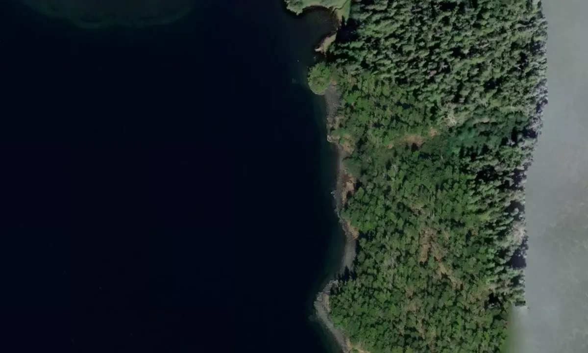 Satelite image of Island Cove