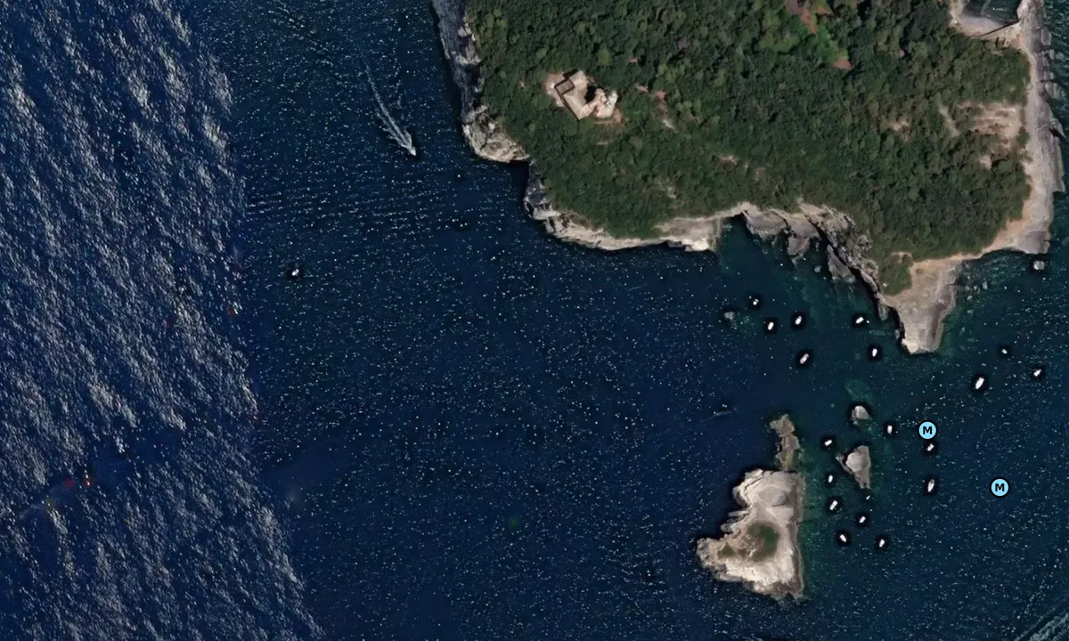 Satelite image of Isola Del Tino Ovest