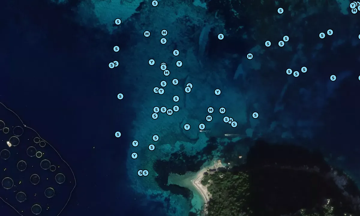 Satelite image of Isola Di figarolo