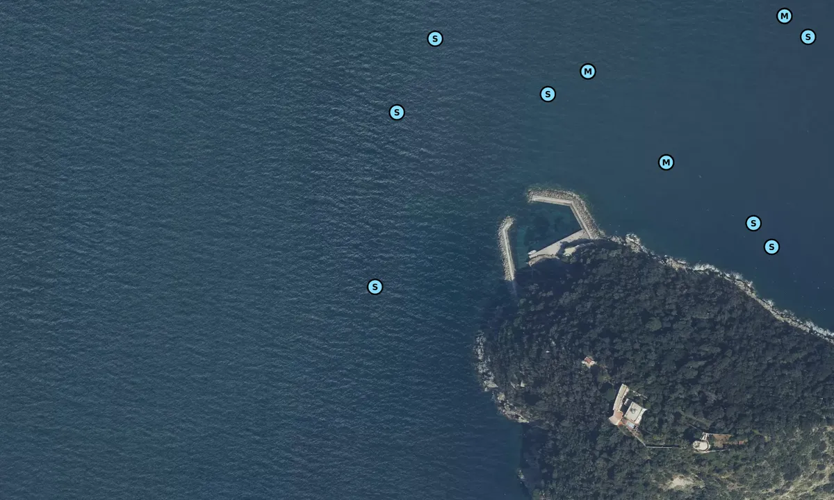 Satelite image of Isola Gallinara