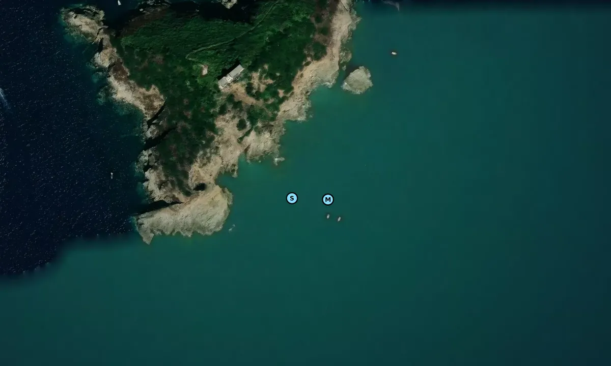 Satelite image of Isola Palmaiola South