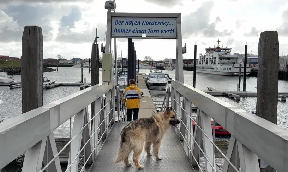 Jachthafen Norderney: {"base": "en", "no": "Brygga ned til b\u00e5ten ved lavvann.", "se": "Bryggan ner till b\u00e5ten vid l\u00e5gvatten.", "en": "The jetty down to the boat in low tide.", "da": "B\u00f8lgebryderen ned til b\u00e5den ved lavvande."}