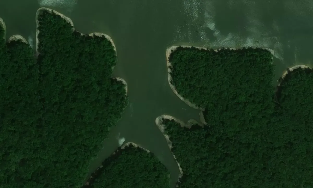 Satelite image of Jack's Cove 1
