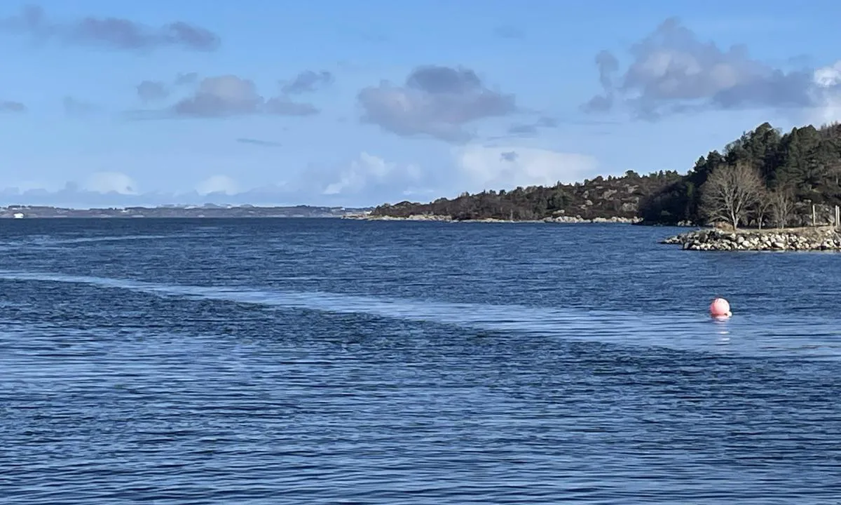 Jakthammaren - bøye leies ut: Rakvågen (Otrøya/Midsund - Molde kommune) sett fra S mot N.