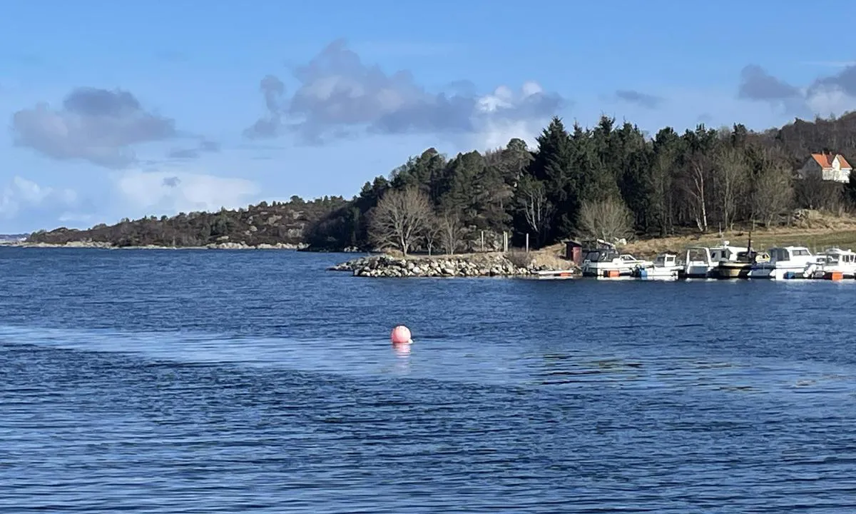 Jakthammaren - bøye leies ut: Fortøyningsbøye sett fra S mot N 
Dybde ved LAT = 7 meter (sandbunn og mulighet for vanlig ankring i større delen av bukta. Se sjøkart)